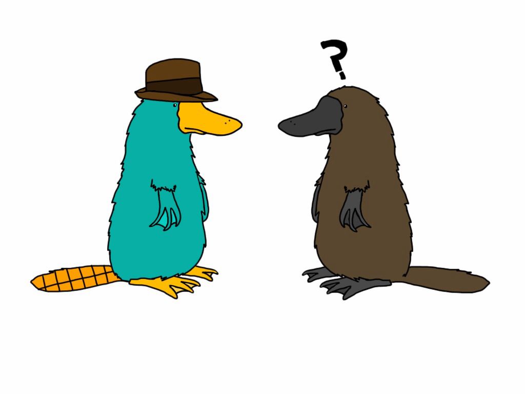 Perry vs ornithorynque réel