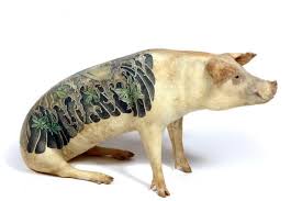Cochon tatoué